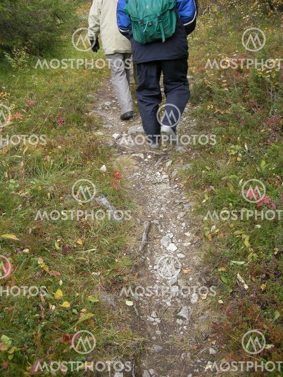 Hiking