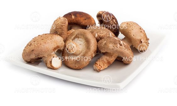 mushrooms in disk isolated