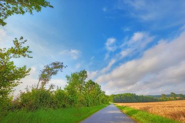 Blue sky, road and landscape with field, outdoor trees...