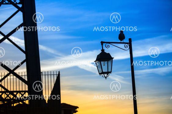 Silhouette of the street lamp and the sitting bird...
