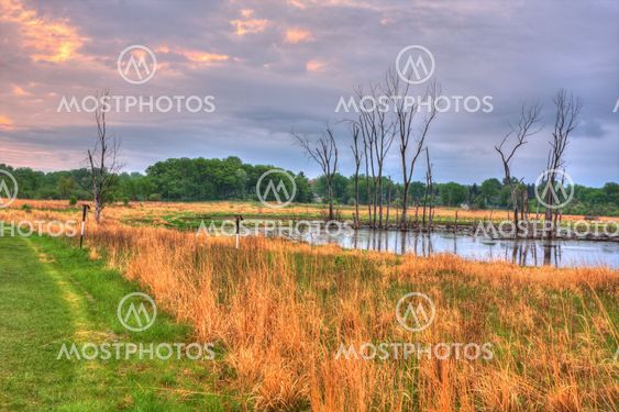 An HDR landscape of a lake in the meadow