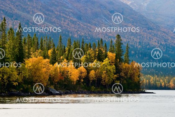 Höst vid fjällsjön