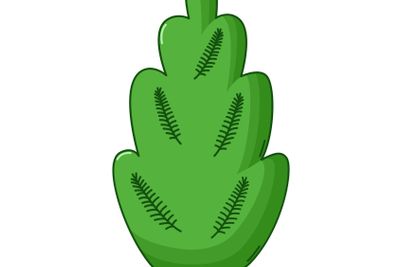 Juniper tree icon, cartoon style