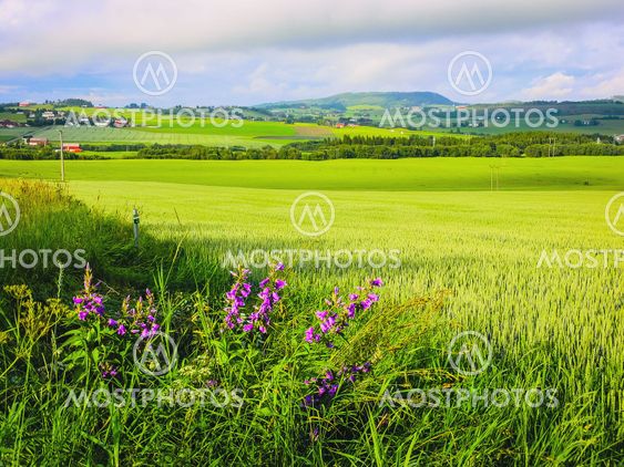 Beautiful norwegian landscape before sunset