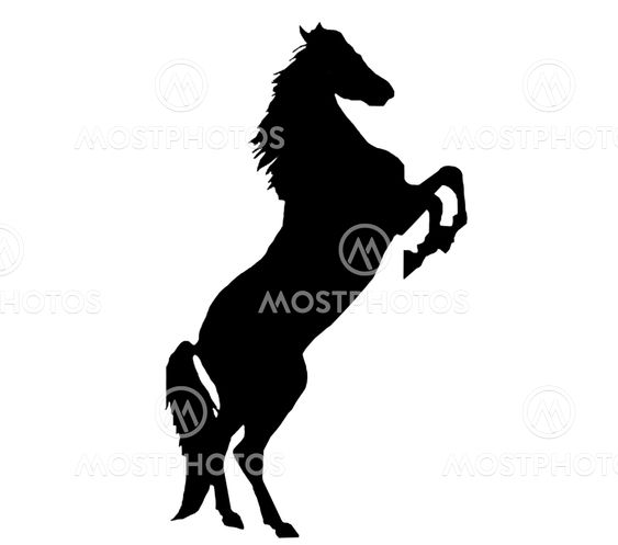 Rearing horse
