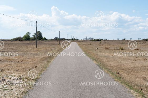 Narrow country road in a dry landscape