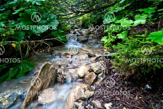 Flowing Water, Dolomites