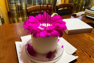Elegant white cake with vibrant decorative feathers on a...