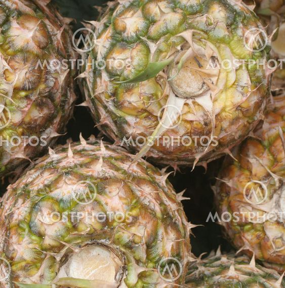 Pineapple