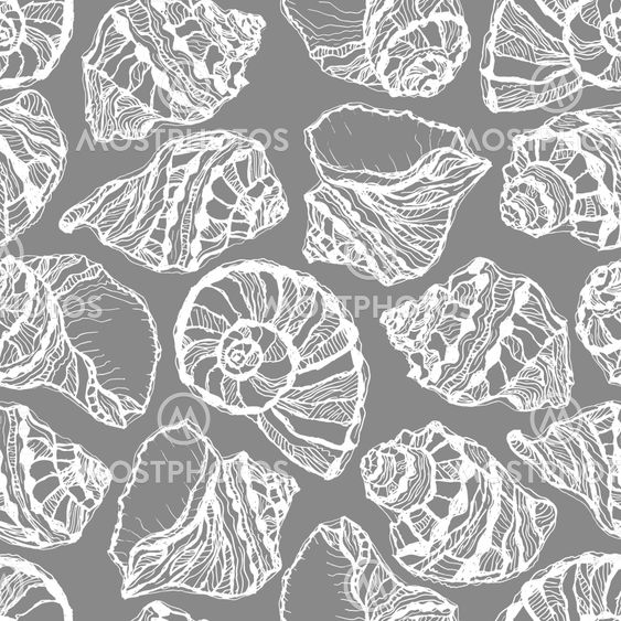 Vector seamless pattern from white seashell on gray...