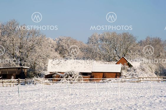 snow