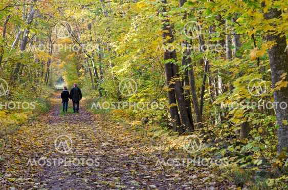 Senior couple on autumn walk