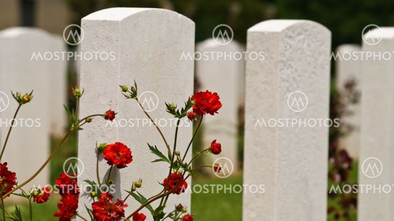 American Cemetery vid Normandie