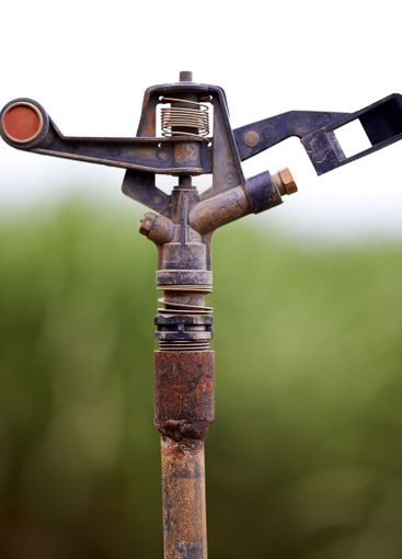 Farm, closeup and irrigation for agriculture, sprinkler...