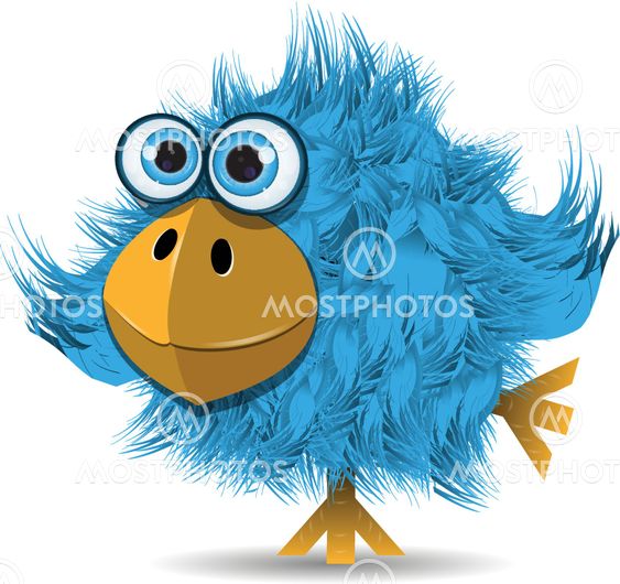 very funny blue bird