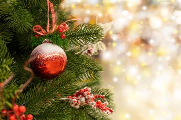 Snowy red ball hanging on a branch of a Christmas tree....