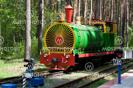 Model of locomotive