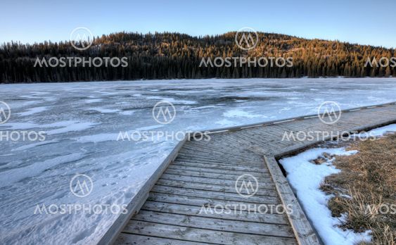 Cypress Hills Alberta