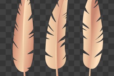 Set of vector feathers. blue, yellow, pastel, red,...