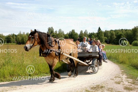 Horse and wagon