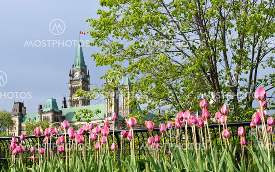 Springtime Centre Block