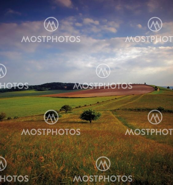 chilterns