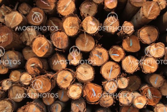 A pile of wood.