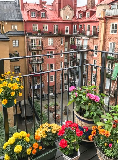 blommor på balkongen