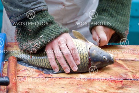sale of Christmas carps (Czech Christmas tradition), Czech Repub