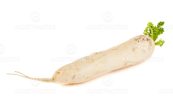 Daikon radish