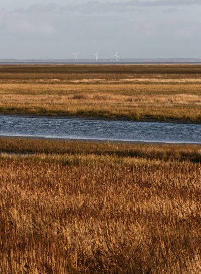 Landscape from Island of Fanoe in Denmark