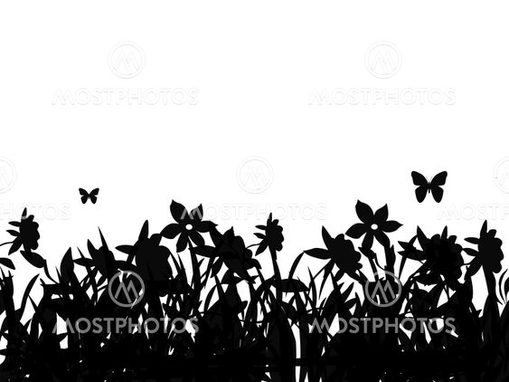 Butterflies and flowers