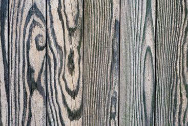 Unique wooden textures captured in natural light on planks