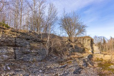 Old limestone quarry with a rock face