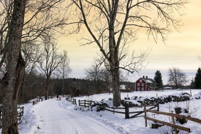 Winter landskap i östra Småland
