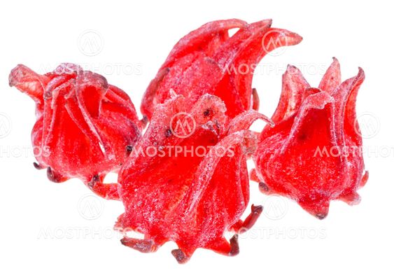 candied Hibiscus Flowers