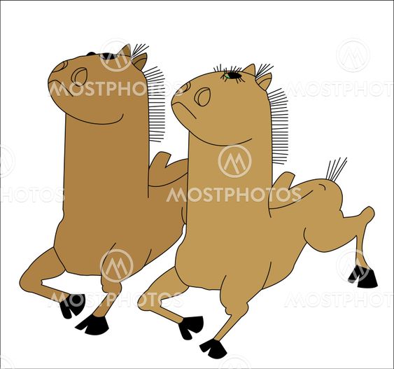 Two young running horses