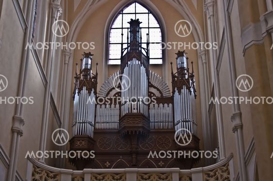organ