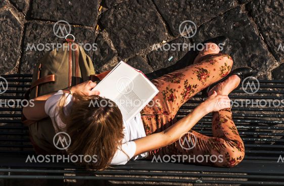 reader