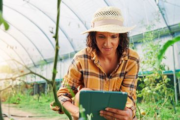 Woman, inspection and tablet in greenhouse, farm and...