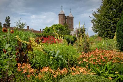 Beautiful flowers, trees and plants and garden...