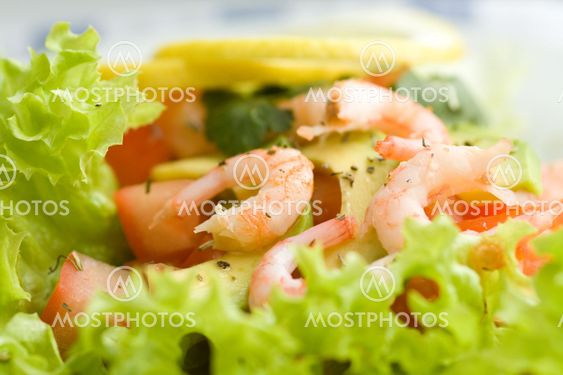 Salad with shrimps and avocado
