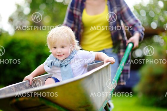 Adorable toddler boy having fun in a wheelbarrow pushing...