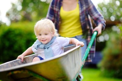 Adorable toddler boy having fun in a wheelbarrow pushing...