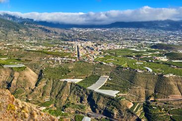 Blue sky, nature and view of banana plantation on...