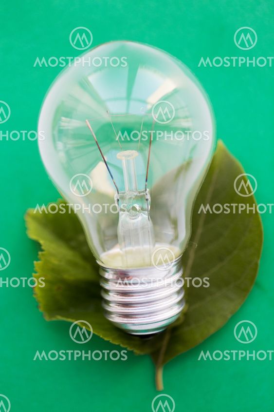 close up of bulb or incandescent lamp on green