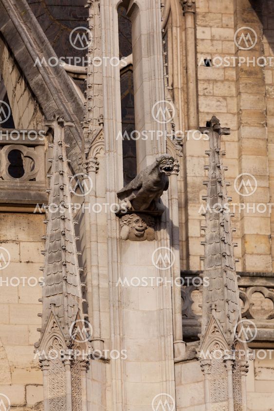 Notre dame cathedral, Paris, France