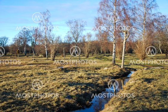 Ditch in a rural landscape