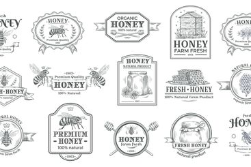 Collection of vintage, hand drawn honey, bee, and...