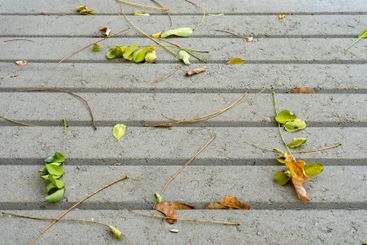 Fallen leaves and twigs scattered on a concrete path in...